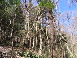 e0049740_20345228.jpg