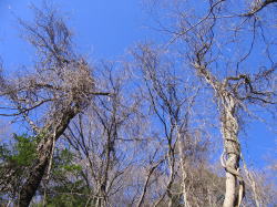 e0049740_20352291.jpg