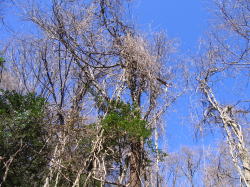 e0049740_20361836.jpg