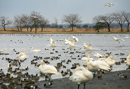 f0049166_1294850.jpg
