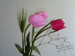 c0095870_16172582.jpg