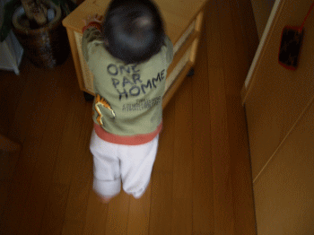 d0100192_2075125.gif