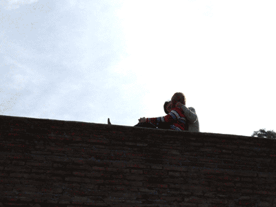 c0026612_0414565.gif