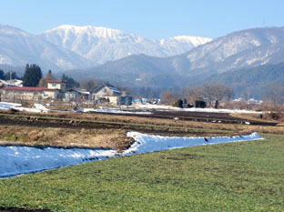 c0047814_8244916.jpg