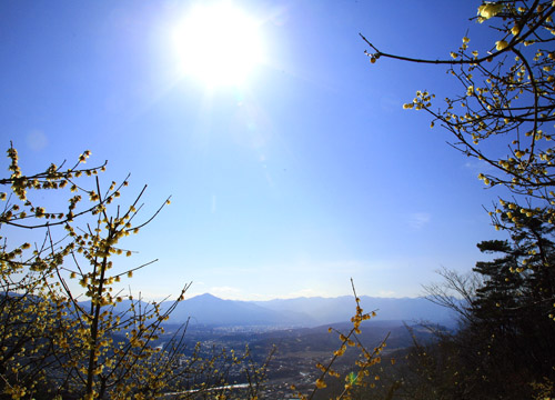 a0023315_20493085.jpg