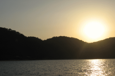 b0100637_21214568.gif