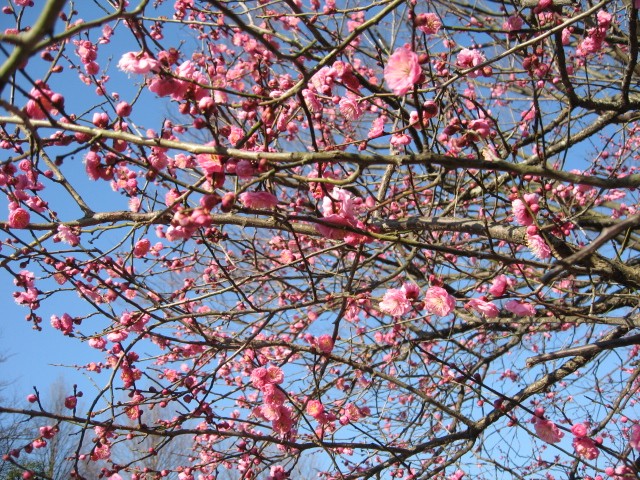 b0009849_10295153.jpg