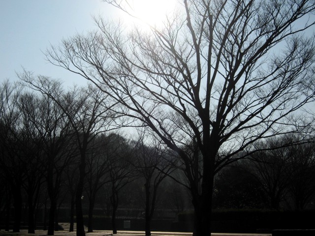 【新林公園の猫たち】_b0009849_1702138.jpg