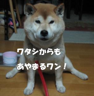 めずらしく、連続音楽ネタで♪_c0049950_928119.jpg