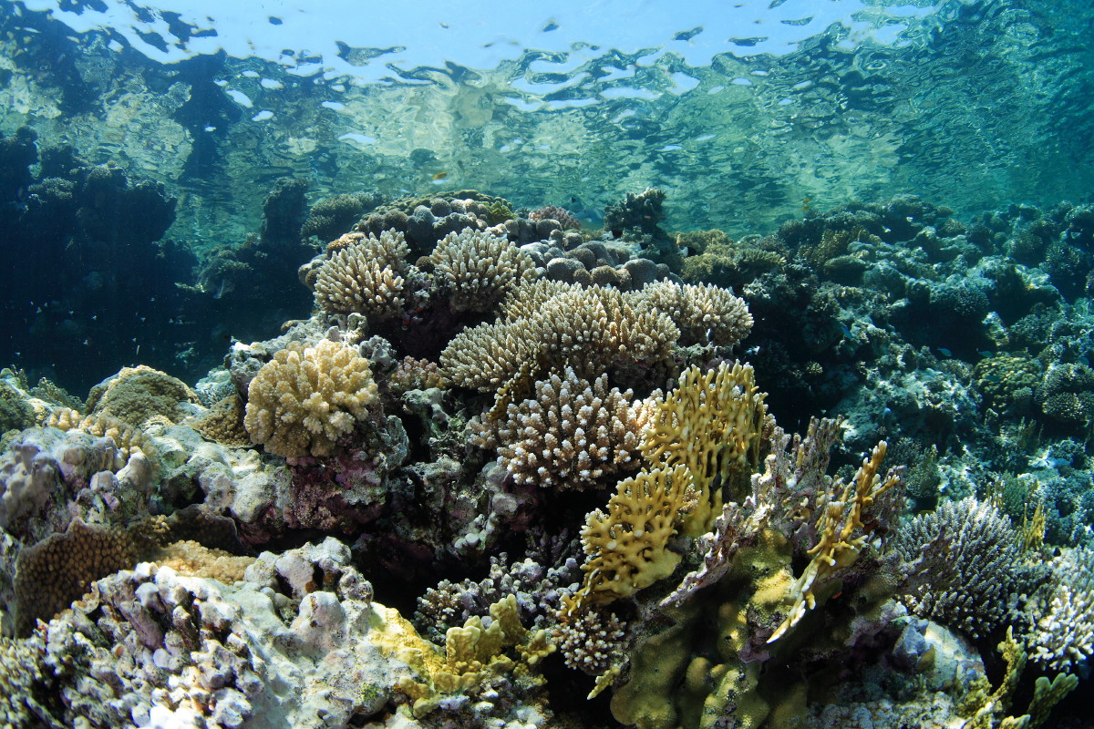 d0021952_00455.jpg