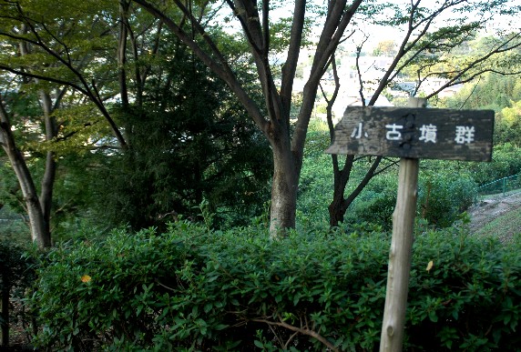 　　紀伊風土記の丘_b0093754_153342.jpg