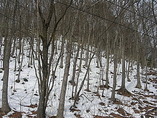 b0053765_1712238.jpg