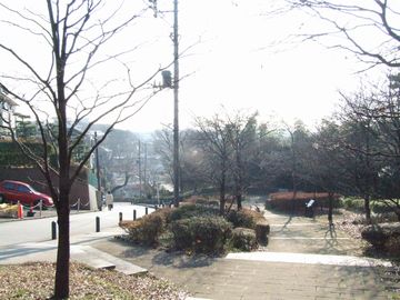 a0009666_16245081.jpg