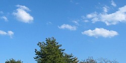 e0041168_10362798.jpg