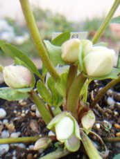 f0052869_23574.jpg