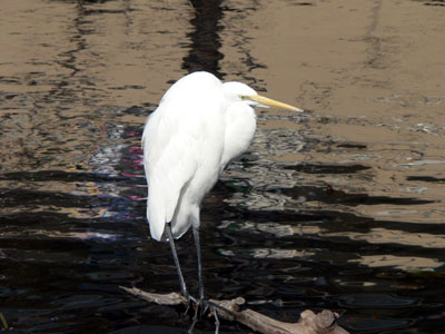 f0086169_97257.jpg