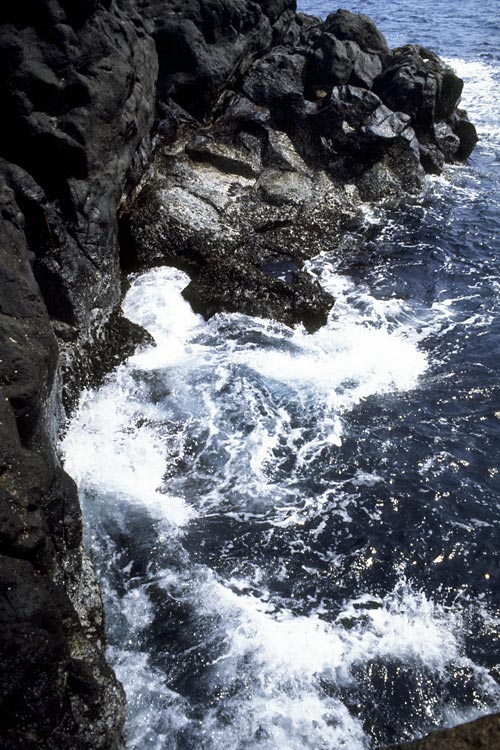 e0097970_20445358.jpg