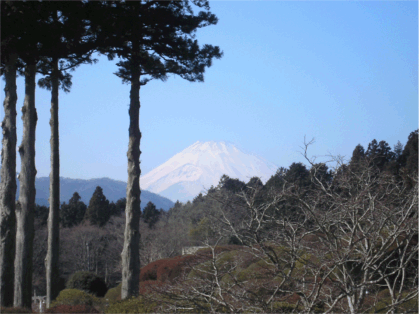 a0077673_22192331.gif