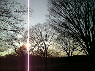2007年1月30日 ツアー終了!!_c0068174_092675.jpg