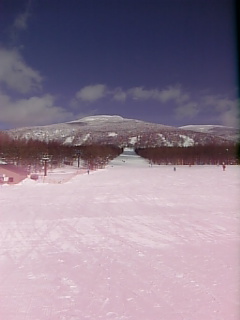 f0098679_20544312.jpg