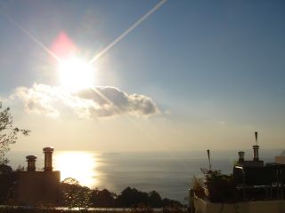 2007年1月31日 あったかいなあ。昼間は_b0098584_22425022.jpg