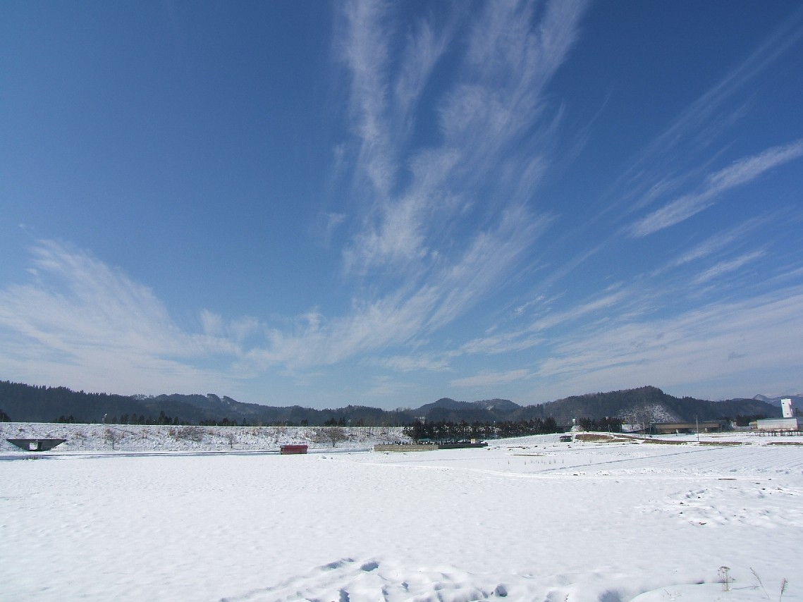 じぇっっっとすとりーーーむ_d0085096_105382.jpg