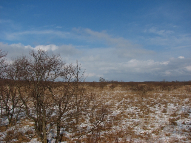 f0020302_234227.jpg
