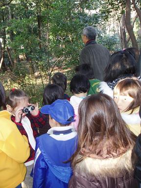 鳥観察イベントを開催しました★_b0049307_18171215.jpg