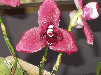 f0116707_20271722.jpg
