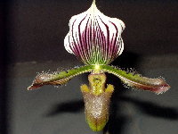 f0116707_20364318.jpg