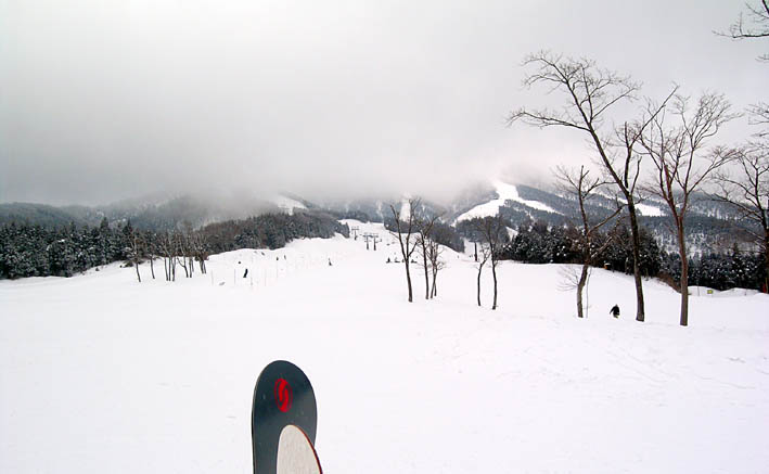 c0078410_0154885.jpg