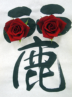 華麗なる華麗ぱんを食べた_c0053520_20493778.jpg