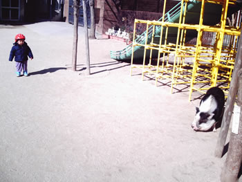 e0106146_1244474.jpg
