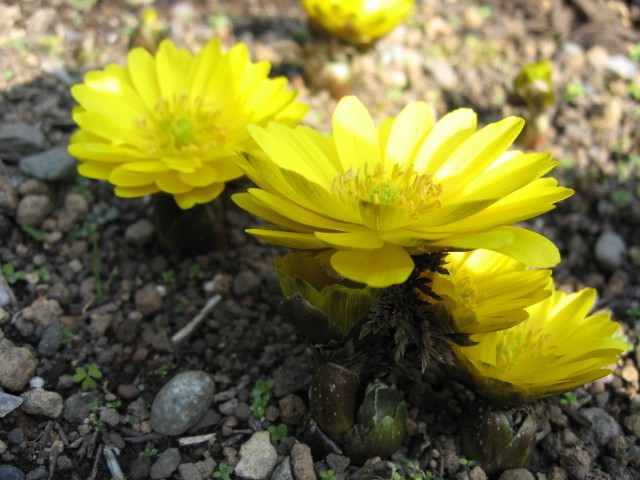 b0009849_18465633.jpg