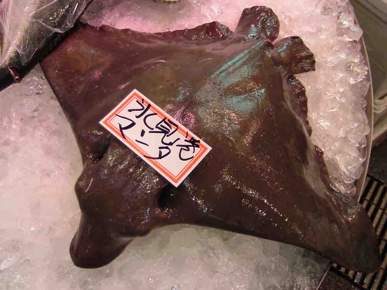 c0110051_16281648.jpg