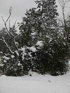 e0074251_943513.jpg