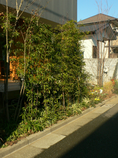 東京町家・9坪の家 その後_b0014003_9444088.jpg