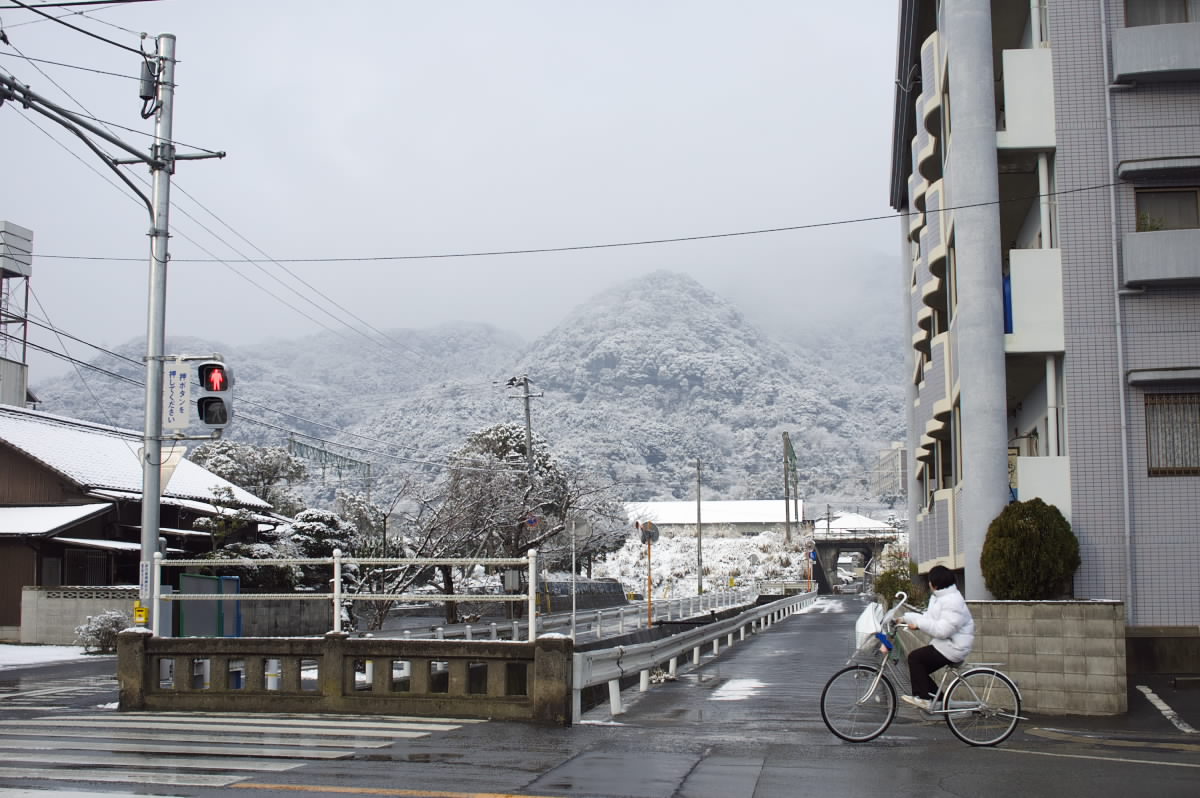 雪が積もったぜ〜_f0083903_1033031.jpg