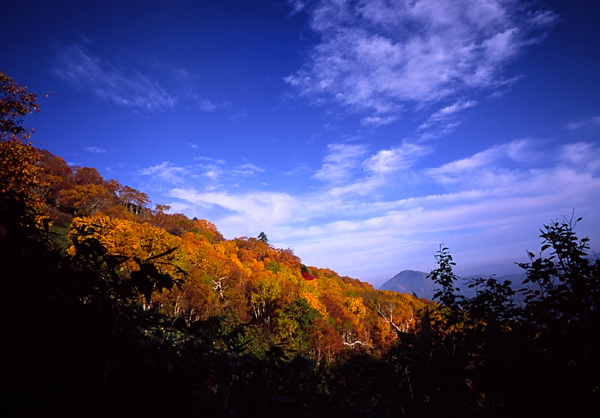 ２００３年秋の北海道（前編）_c0110112_22214399.jpg