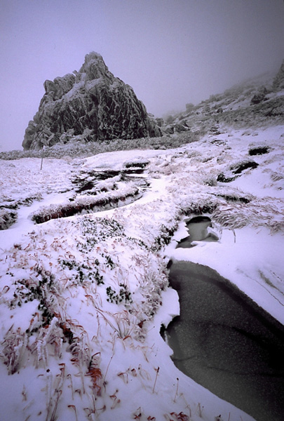 ２００３年秋の北海道（前編）_c0110112_22251431.jpg