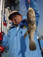 ヒラメ&ショウサイフグ_f0031613_19194875.jpg