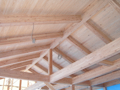 d0041124_2023507.gif