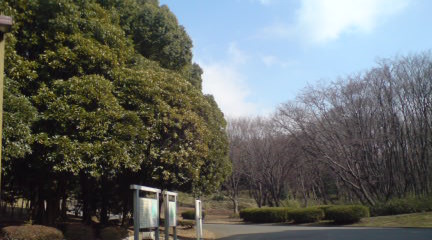 空_c0099133_0342259.jpg