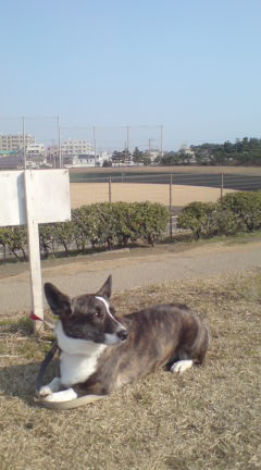 空_c0099133_0355812.jpg