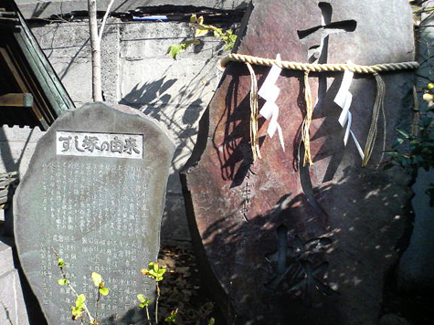 f0048547_1433419.jpg