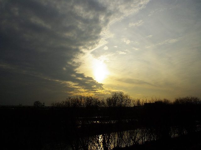 f0033856_11213.jpg