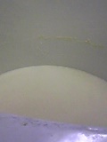 d0007957_0162414.jpg