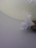 d0007957_019672.jpg