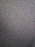 d0007957_0252763.jpg