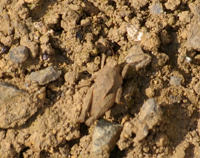 b0070071_1444868.jpg